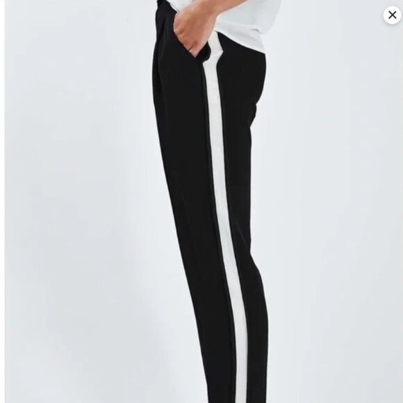 $235 NWT Theory Jesha 100% Silk Tuxedo Sheer Skinny Leg Drawstring Ankle Pants S - Picture 2 of 12